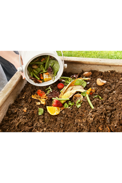5 Composting Mistakes That Are Ruining Your Garden (And How to Fix Them Fast)