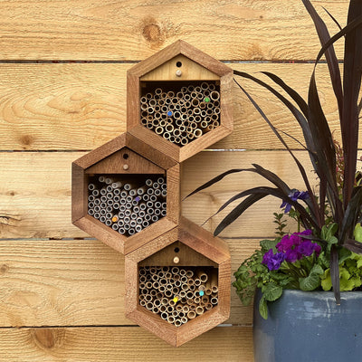 Pollinator Products