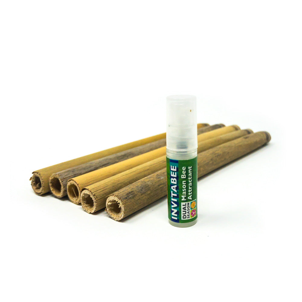 InvitaBee Mason Bee Attractant