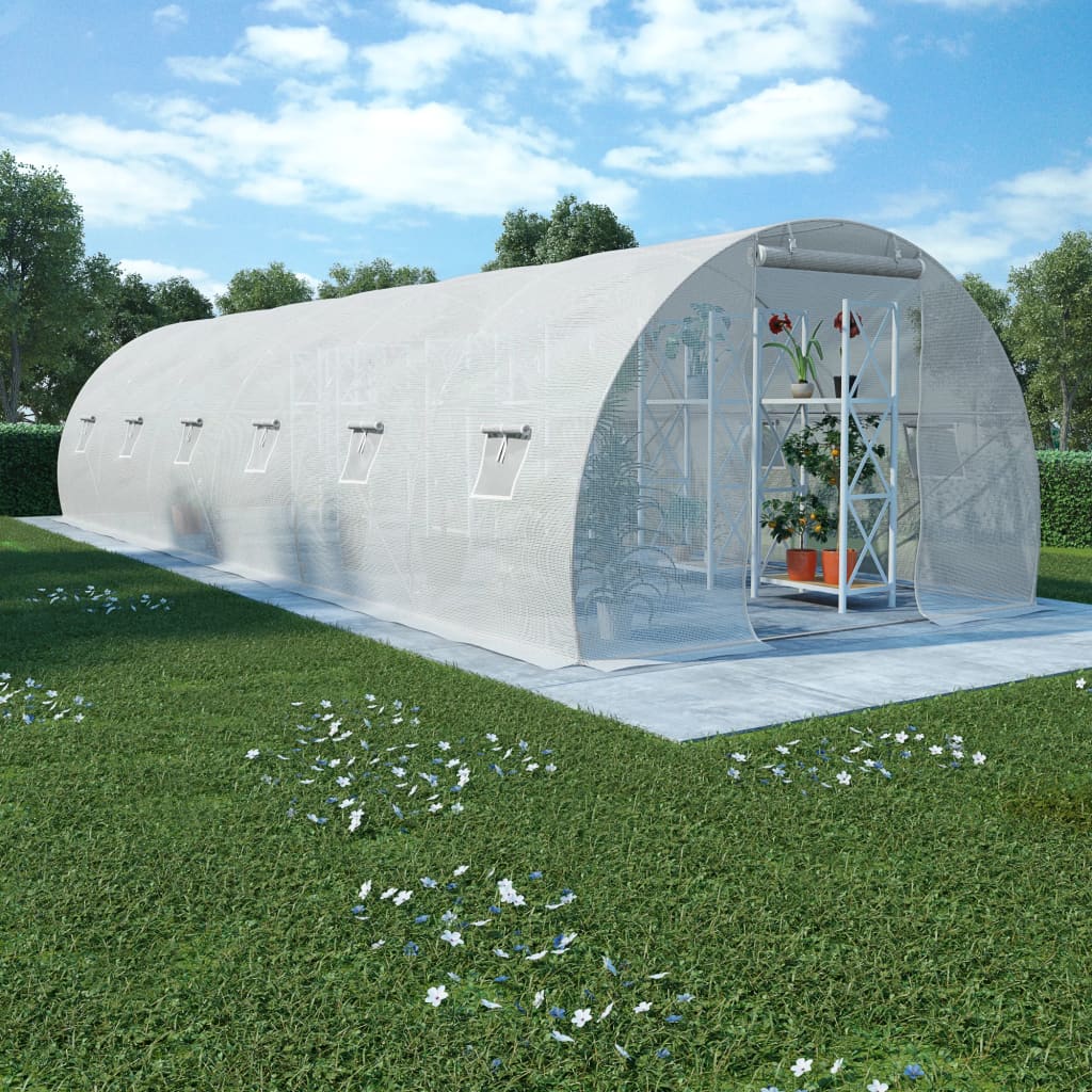 Greenhouse 290.6 ft² 354.3"x118.1"x78.7"