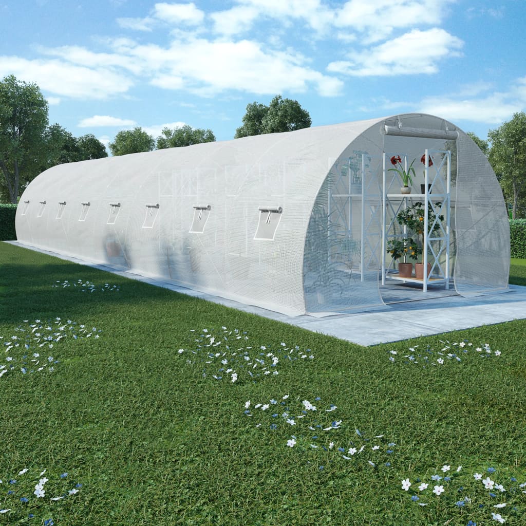 Greenhouse 387.5 ft² 472.4"x118.1"x78.7"