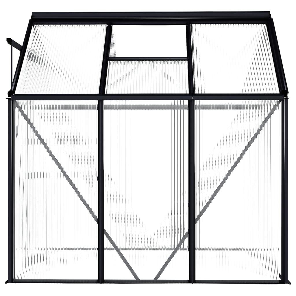 Greenhouse Anthracite Aluminum 38.9 ft²