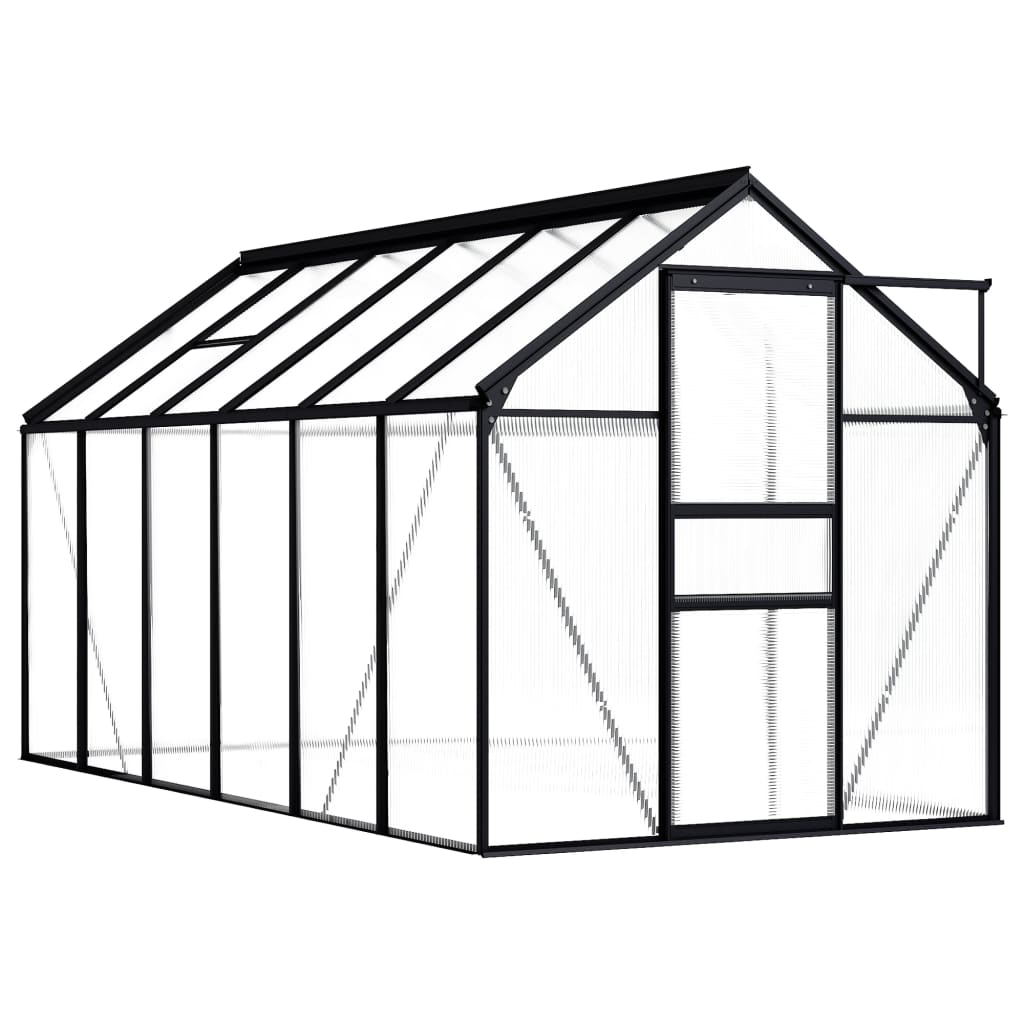 Greenhouse Anthracite Aluminum 75.7 ft²