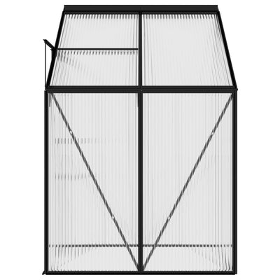 Greenhouse Anthracite Aluminum 91.5 ft³