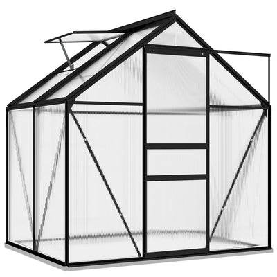 Greenhouse Anthracite Aluminum 26.6 ft²