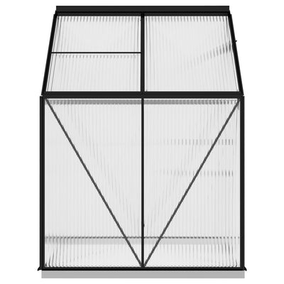 Greenhouse Anthracite Aluminum 26.6 ft²