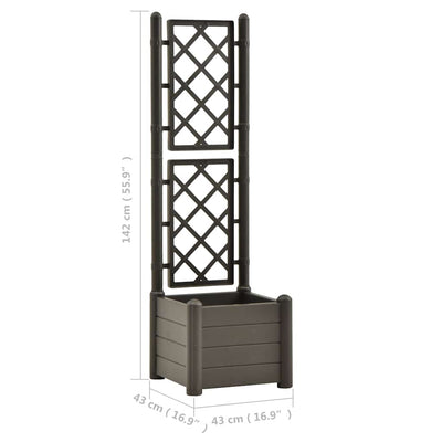 Garden Planter with Trellis 16.9"x16.9"x55.9" PP Anthracite