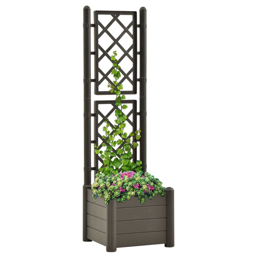 Garden Planter with Trellis 16.9"x16.9"x55.9" PP Anthracite