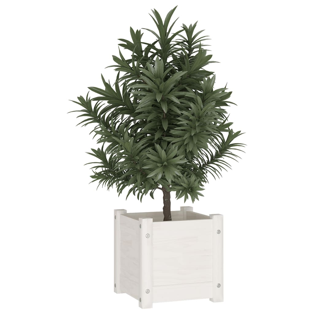 Garden Planter White 12.2"x12.2"x12.2" Solid Wood Pine