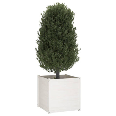 Garden Planter White 27.6"x27.6"x27.6" Solid Wood Pine