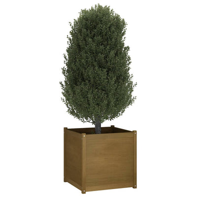 Garden Planter Honey Brown 27.6"x27.6"x27.6" Solid Wood Pine