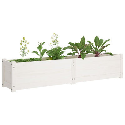 Garden Raised Beds 2 pcs White 59.1"x12.2"x12.2" Solid Wood Pine