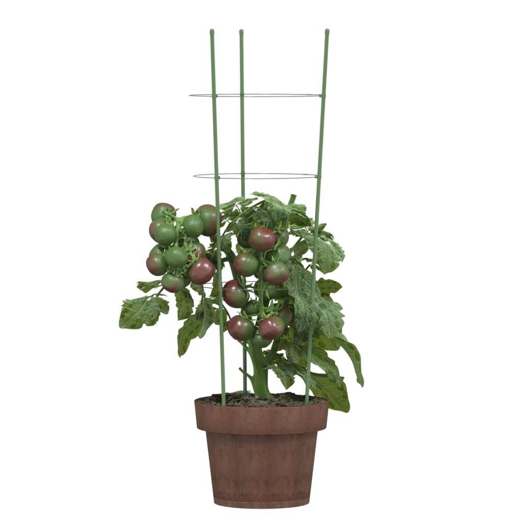 Garden Plant Support Set of 5 Green