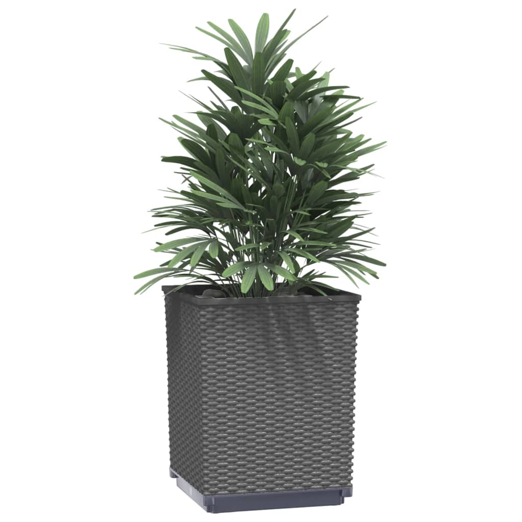 Planters 2 pcs Black 11.8"x11.8"x14.6" Polypropylene