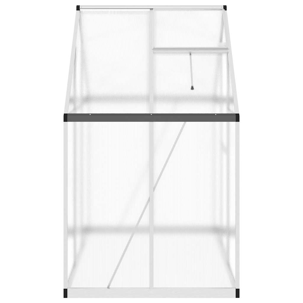 Greenhouse Silver and transparent Aluminum, polycarbonate