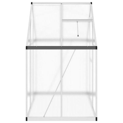 Greenhouse Silver and transparent Aluminum, polycarbonate