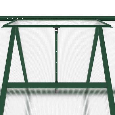 Greenhouse Green and transparent Aluminum and polycarbonate Large