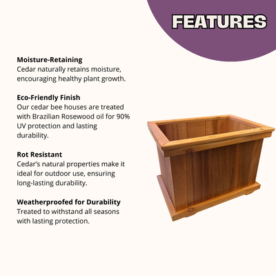 Botanical Bliss Cedar Planter