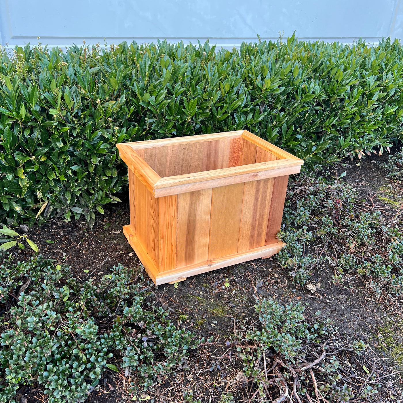 Botanical Bliss Cedar Planter