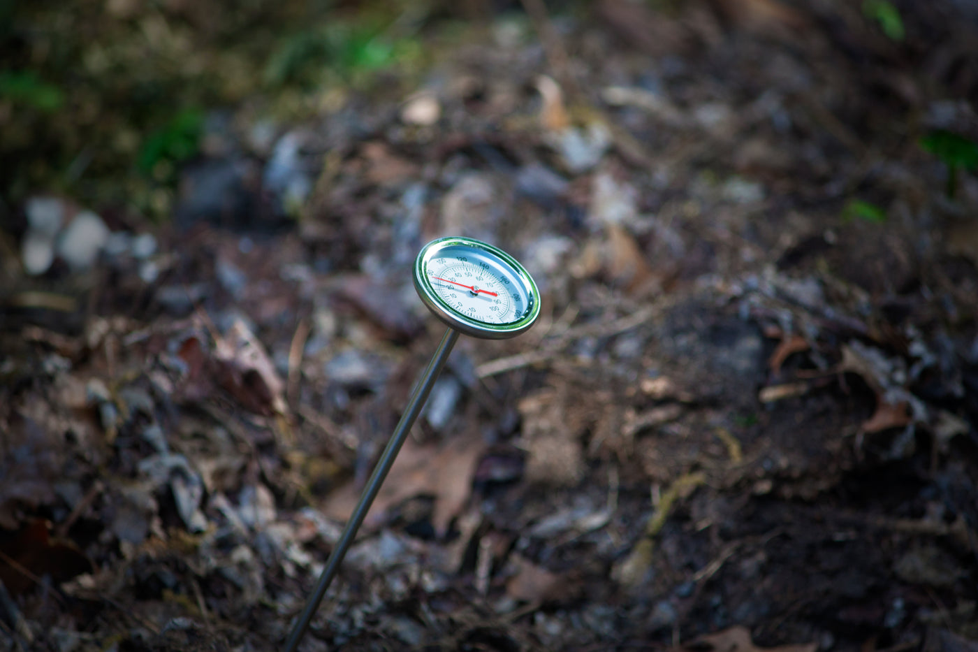 Compost Wizard Thermometer