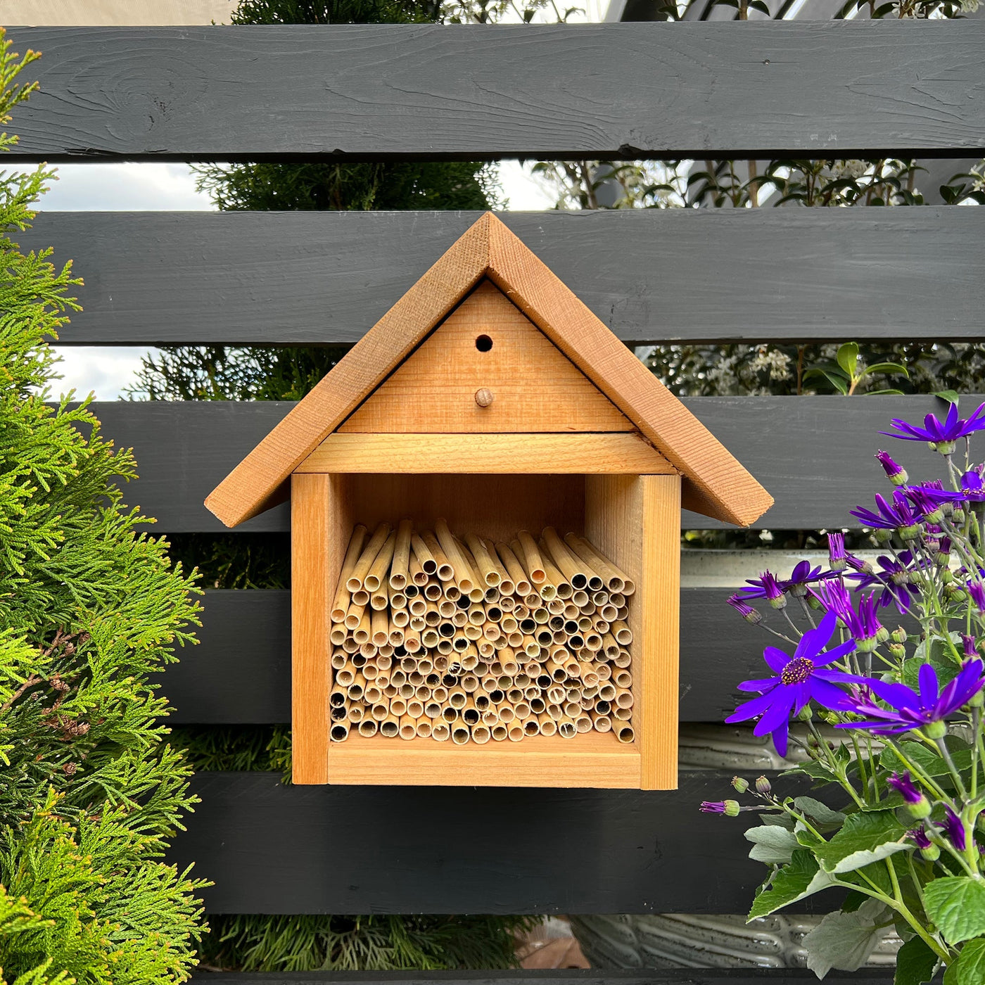 Summer Natural Reeds for Leafcutter Bees - 6mm