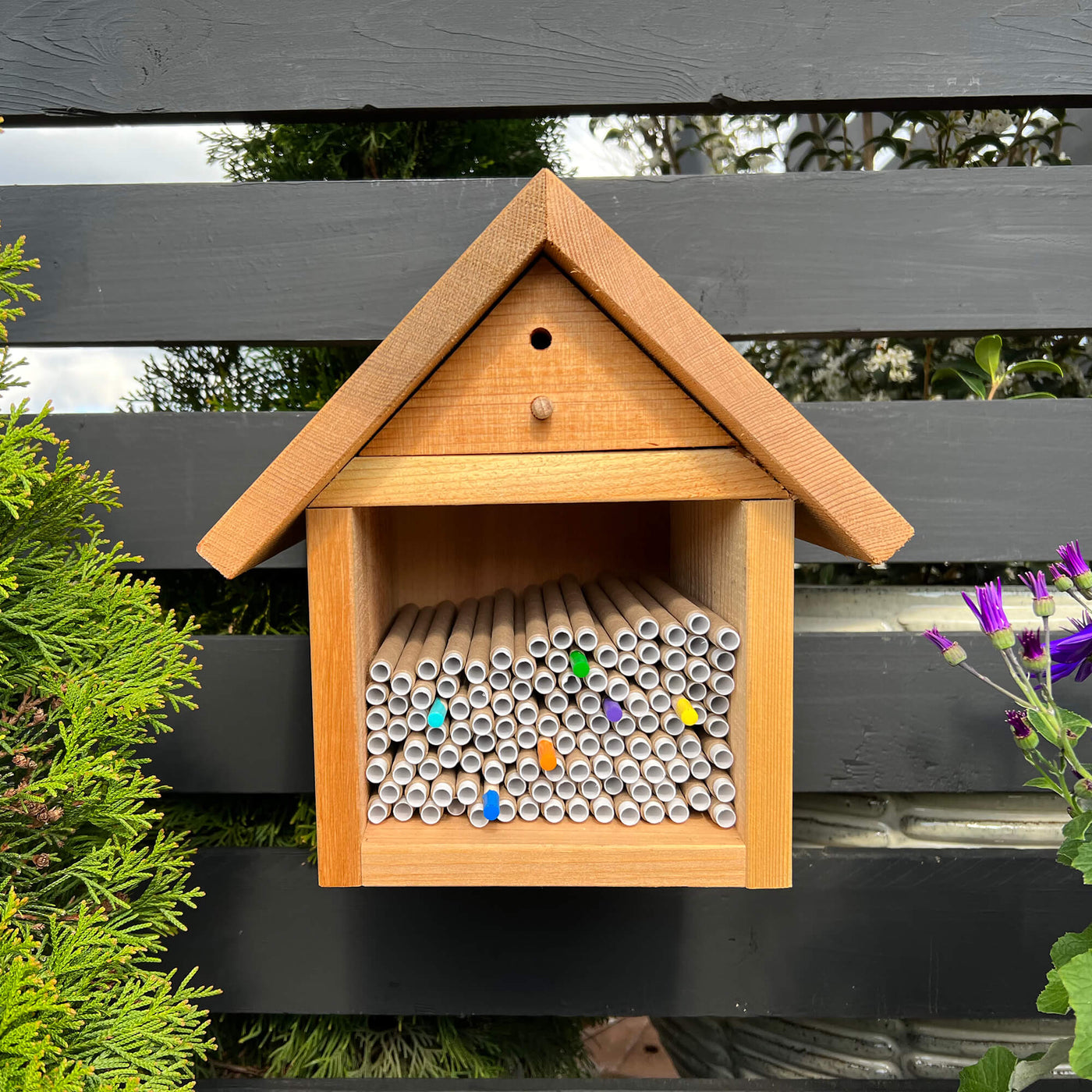 Chalet Bee House