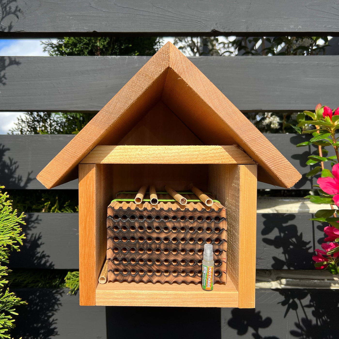 Summer Reusable Wood Trays for Leafcutter Bees