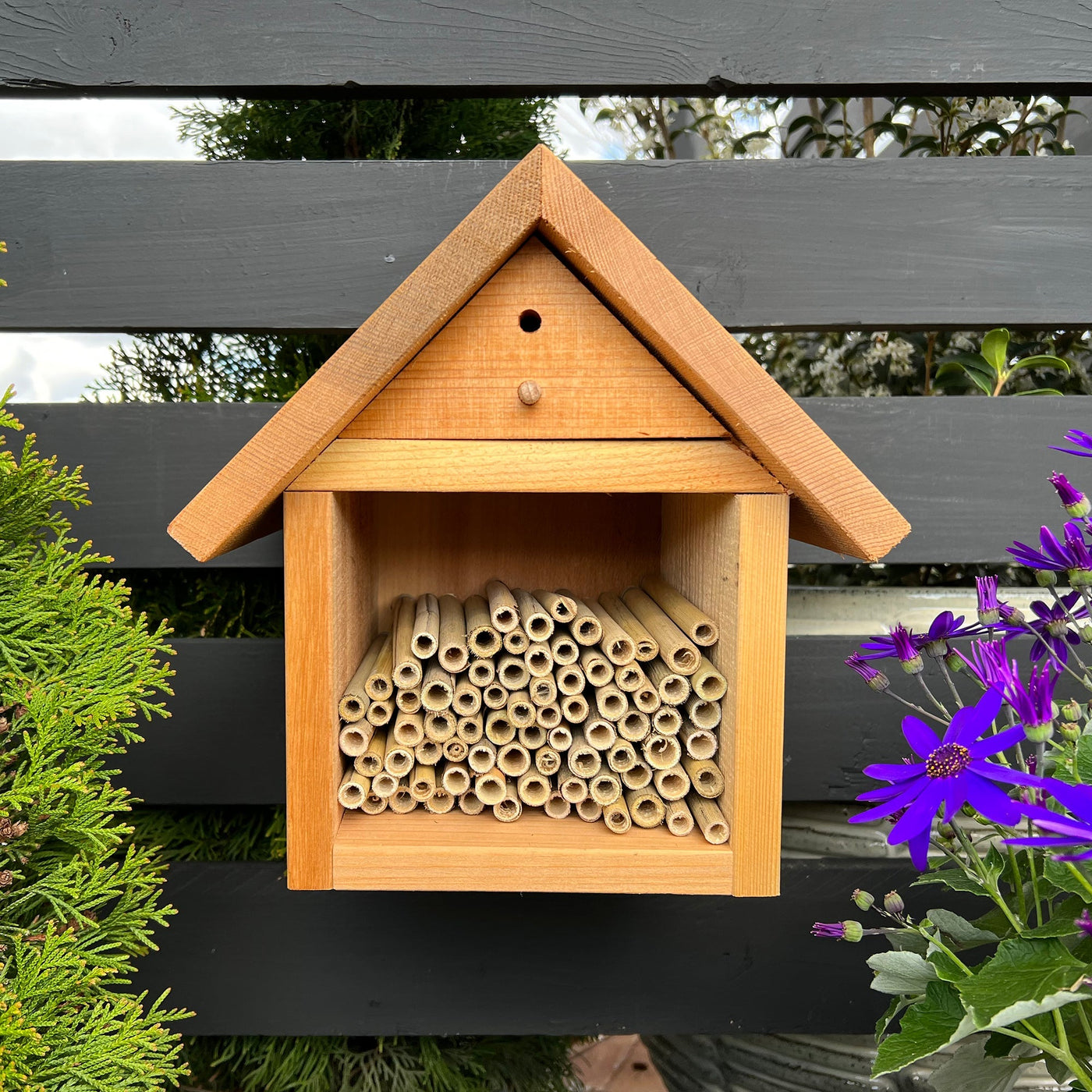 Spring Natural Reeds for Mason Bees - 8mm