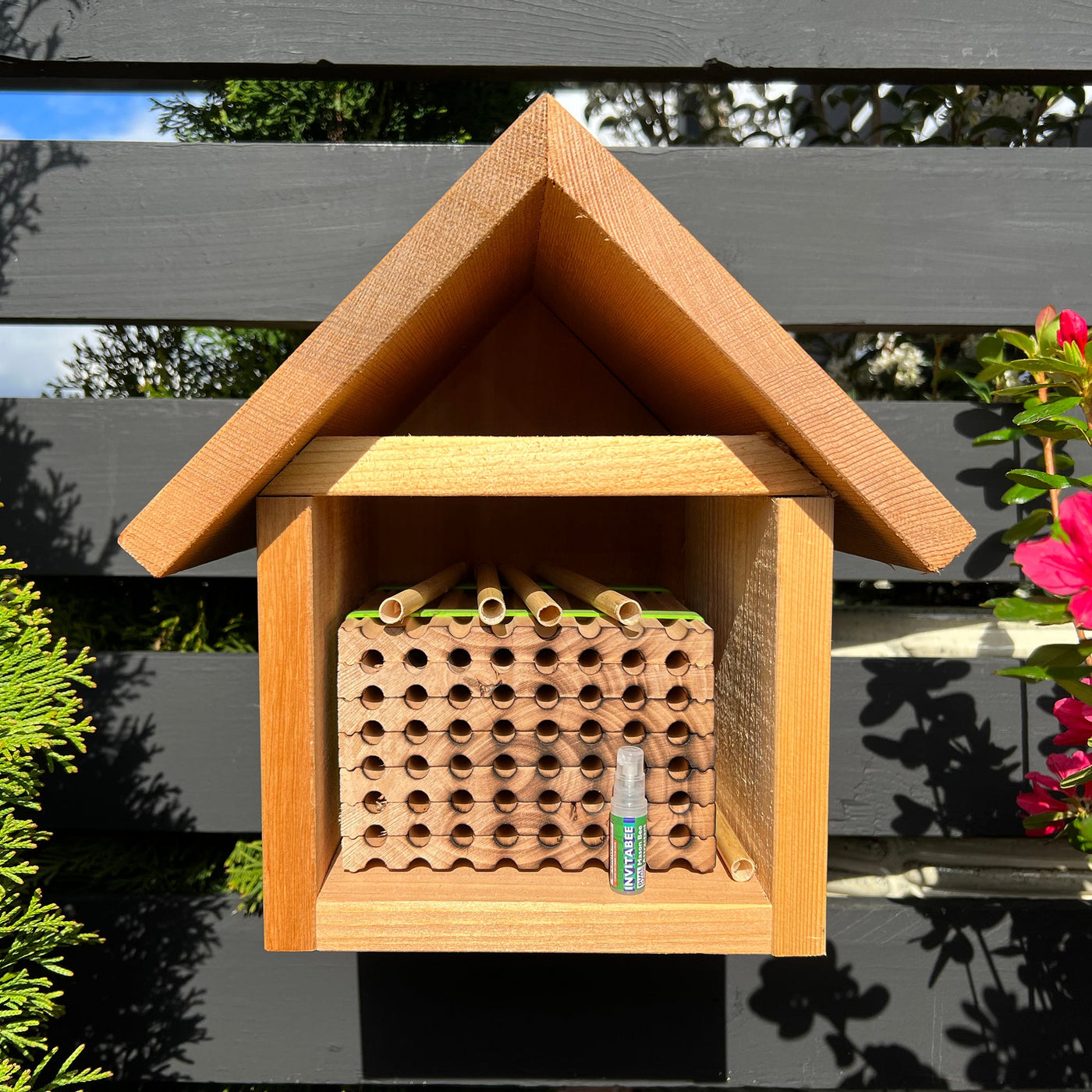 Spring Reusable Wood Trays for Mason Bees - 8mm