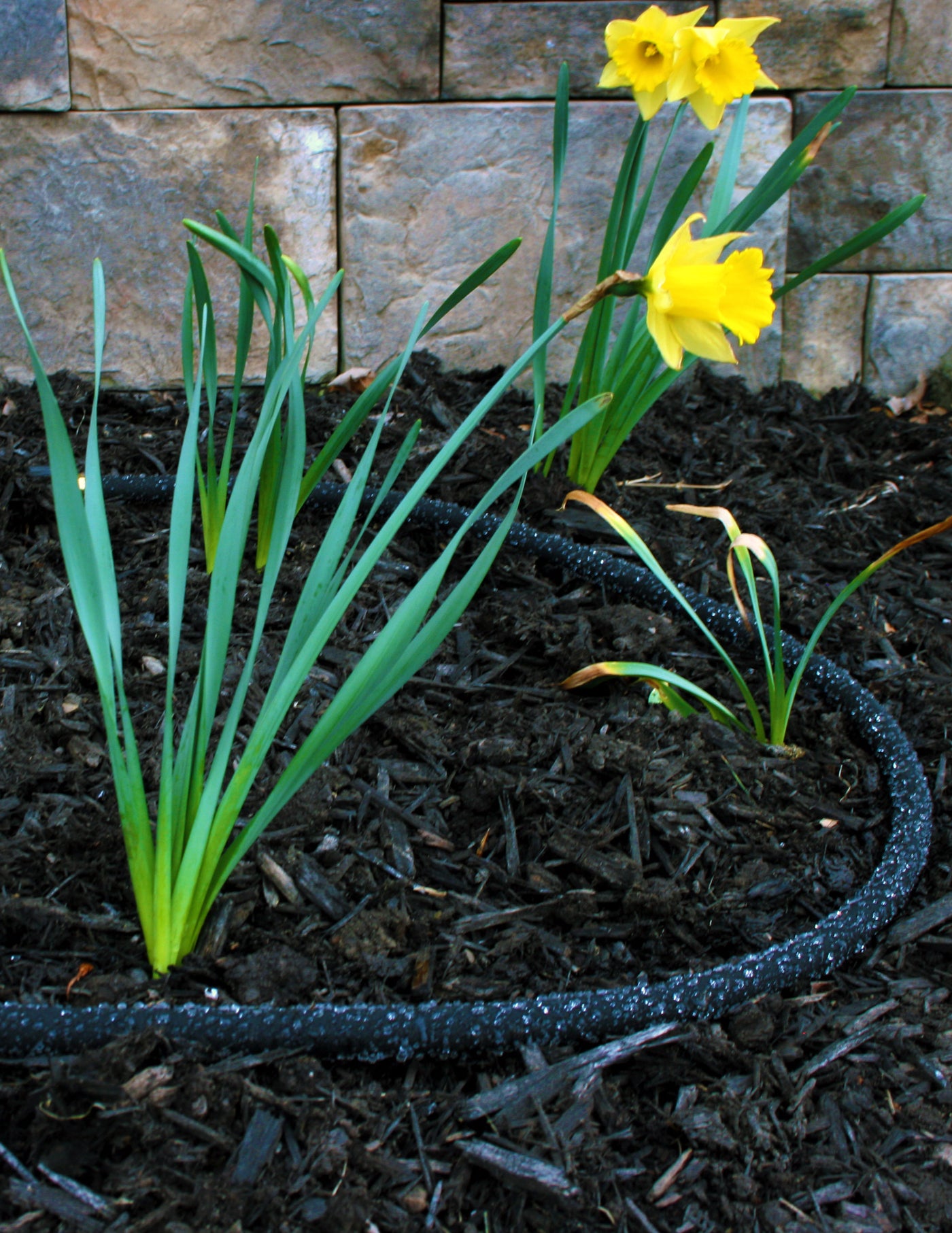 Rain Barrel Soaker Hose