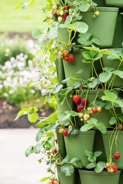 7 Tier GreenStalk Leaf Vertical Planter - Basic Texture 