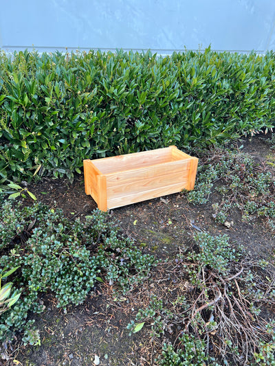 Seasonal Serenity Cedar Planter