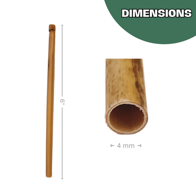 Summer Natural Reeds for Leafcutter Bees - 6mm
