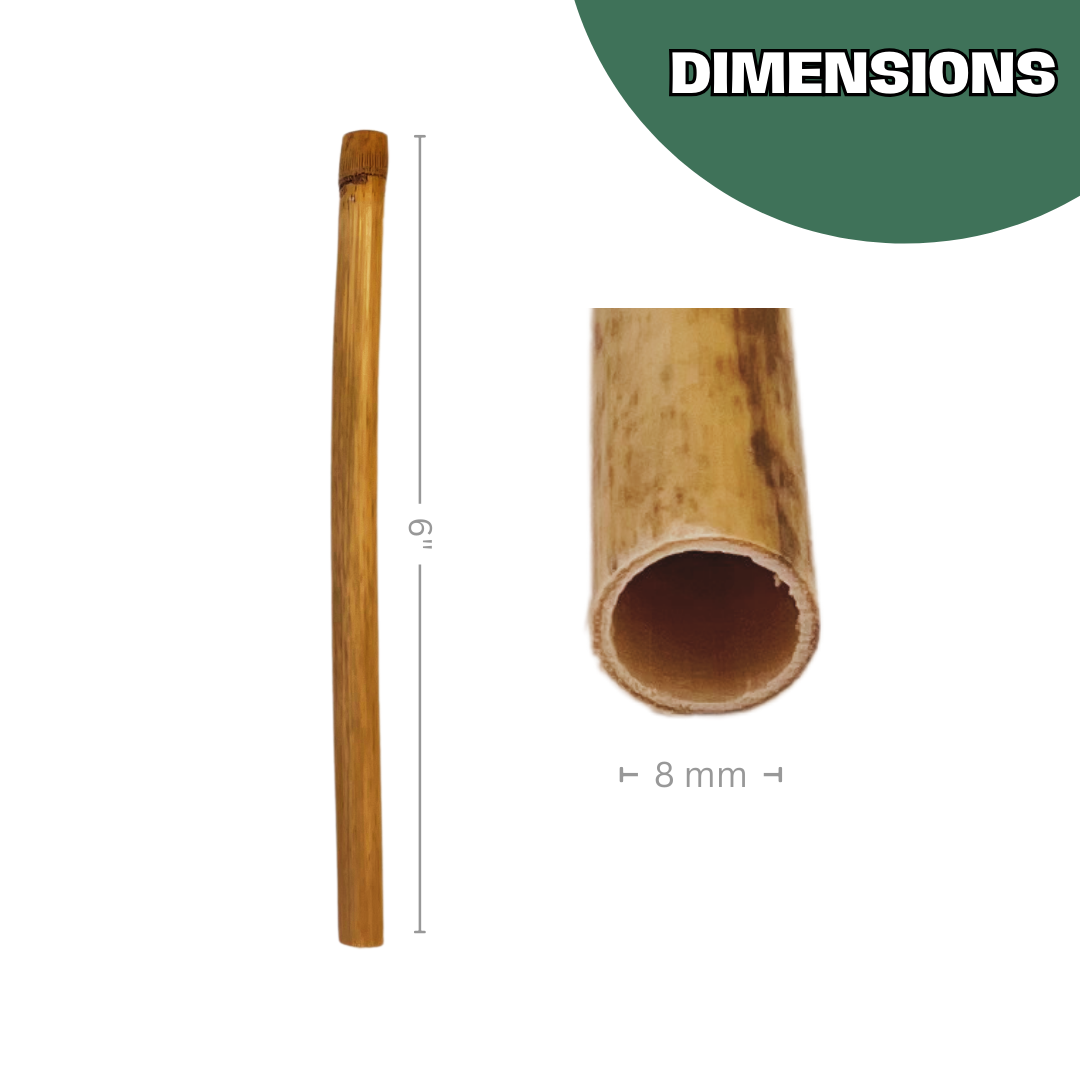 Spring Natural Reeds for Mason Bees - 8mm