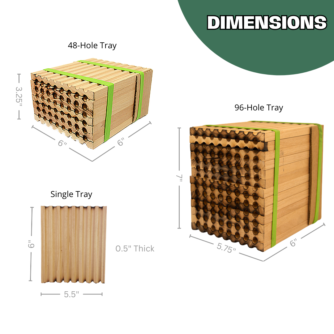 Spring Reusable Wood Trays for Mason Bees - 8mm