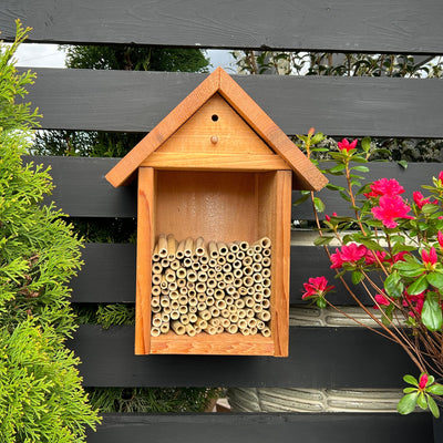 Spring Natural Reeds for Mason Bees - 8mm