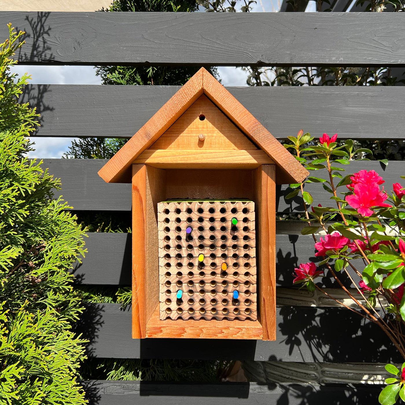 Spring Reusable Wood Trays for Mason Bees - 8mm