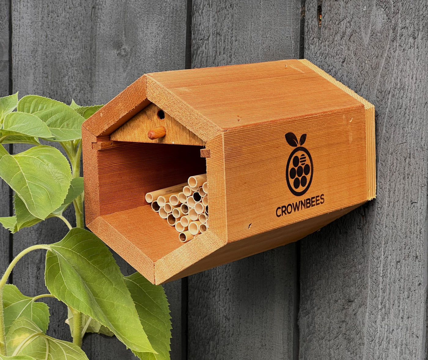 Cabana Bee House & Complete Kit with Bee Certificate