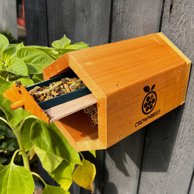 Cabana Bee House & Complete Kit with Bee Certificate