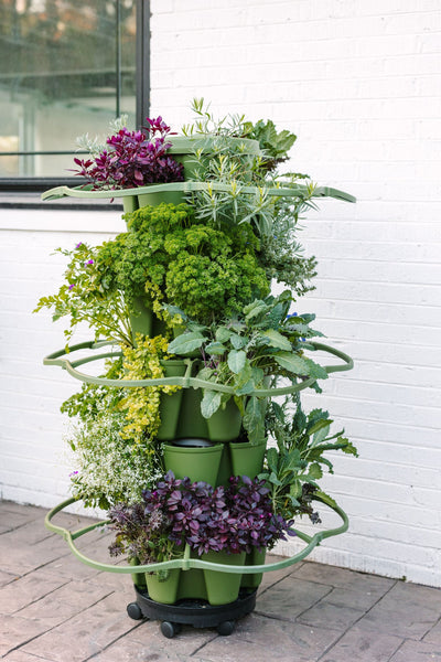 Complete GreenStalk Vertical Garden System in Urban Setting