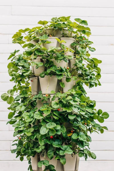 7 Tier GreenStalk Leaf Vertical Planter - GreenStalk Garden